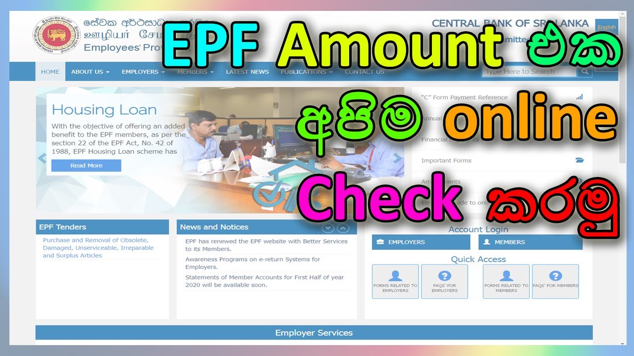 Check Your EPF Account Balance Online | Sinhala | ඔයාගේ සේවක අර්ථසාධක අරමුදල ඔන්ලයින් බලමු