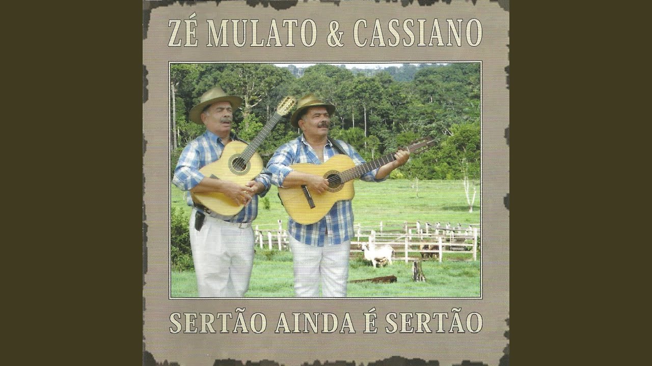 Cal&ccedil;ad&atilde;o