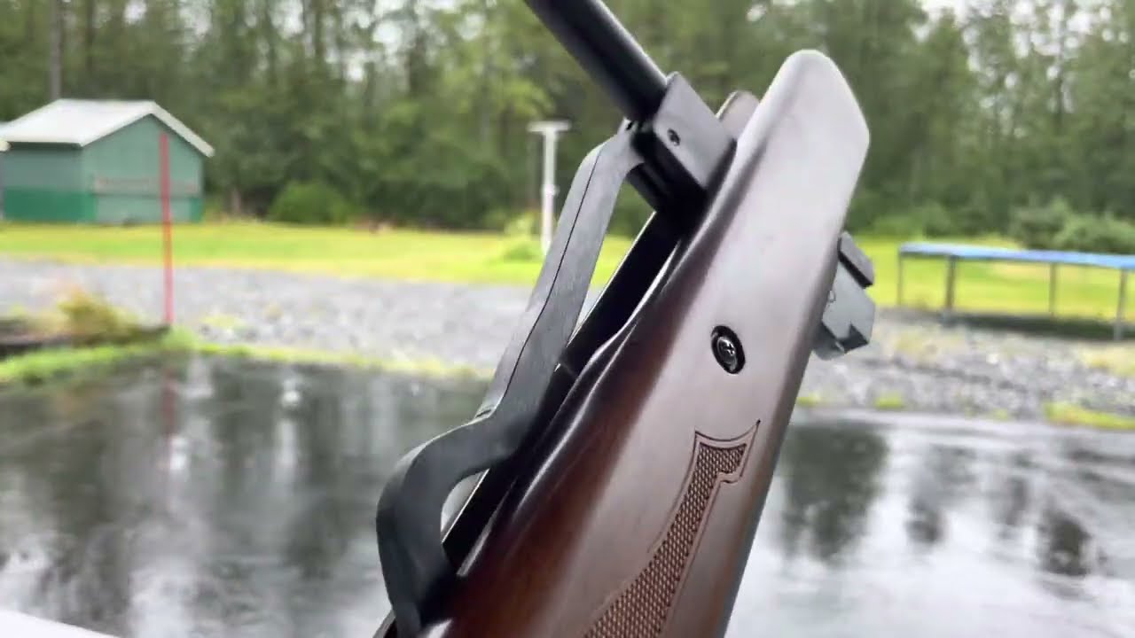 Hatsan Model 95, .25 калибра — мощное, но очень требовательное к пулям оружие.