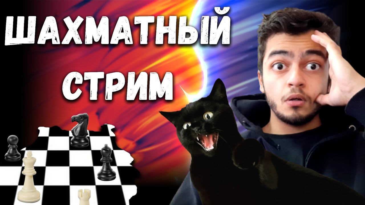 Играю в шахматы. Выполняю задания за донаты