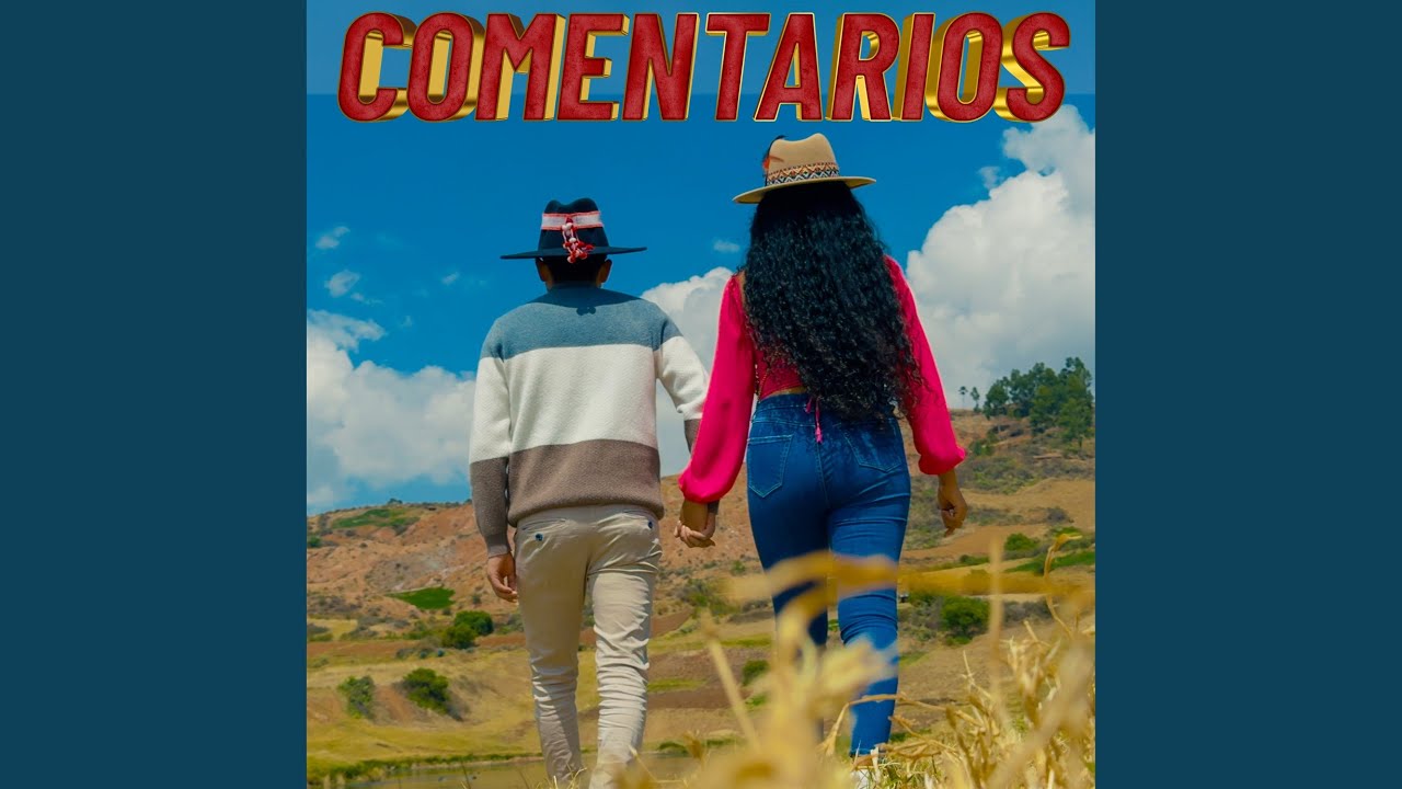 Comentarios