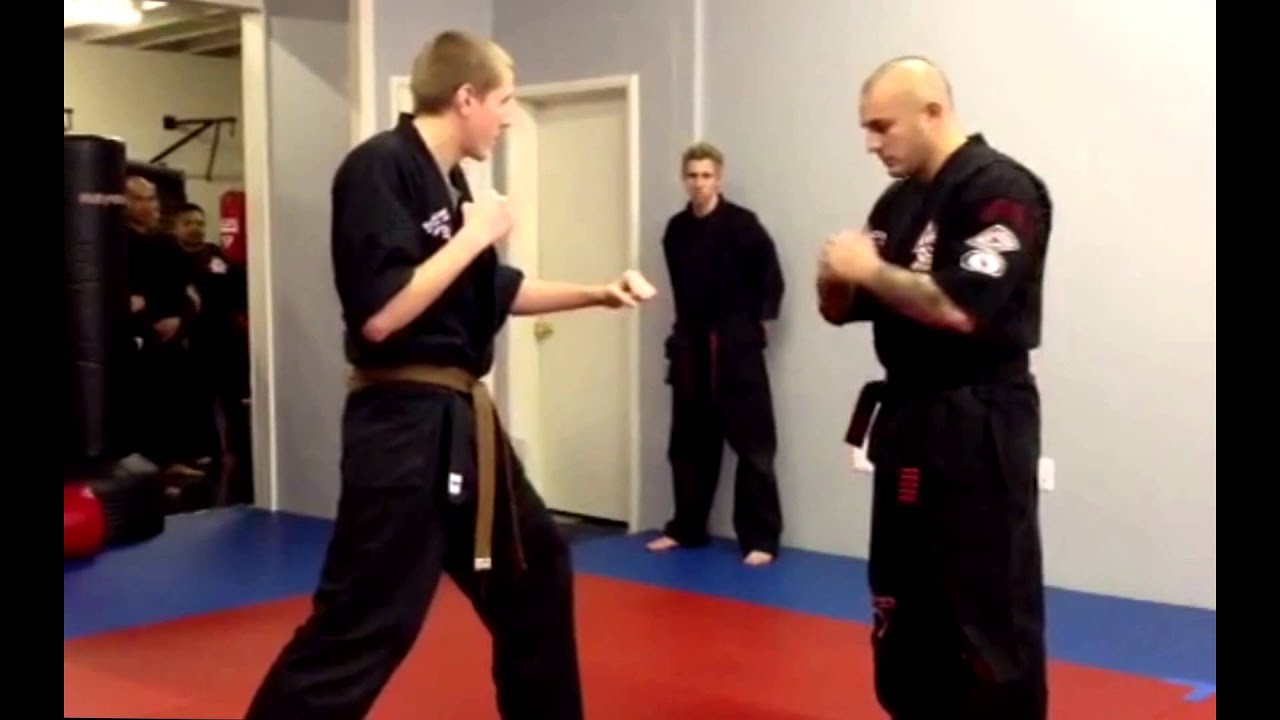 Gangnam Style Karate