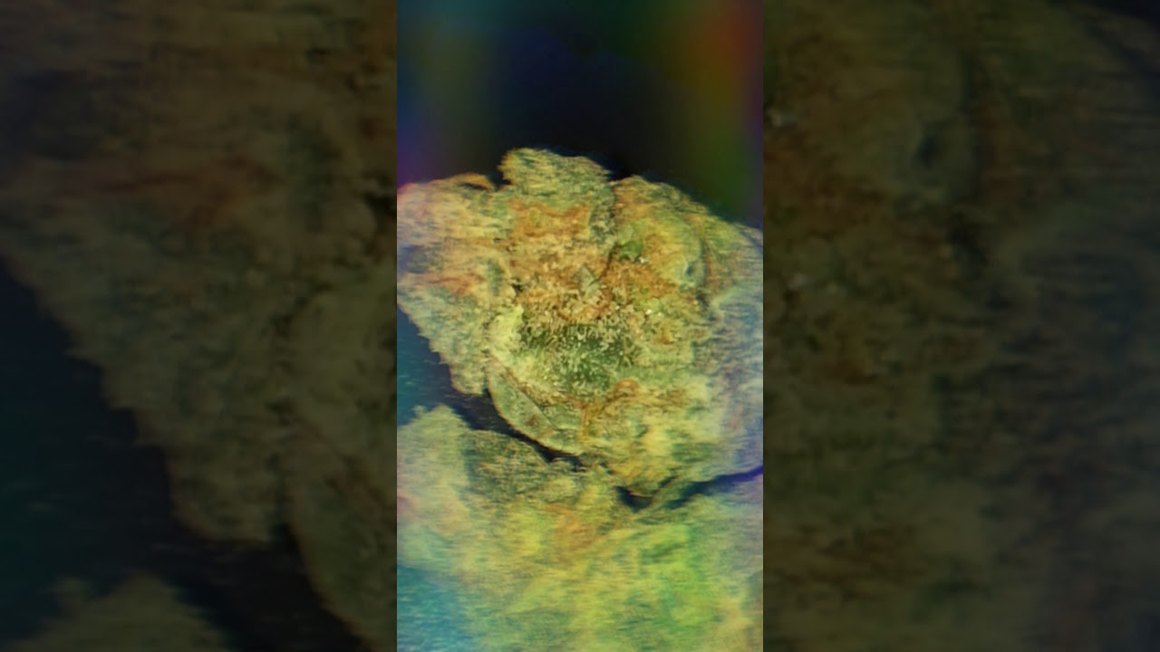 O.G. Kush