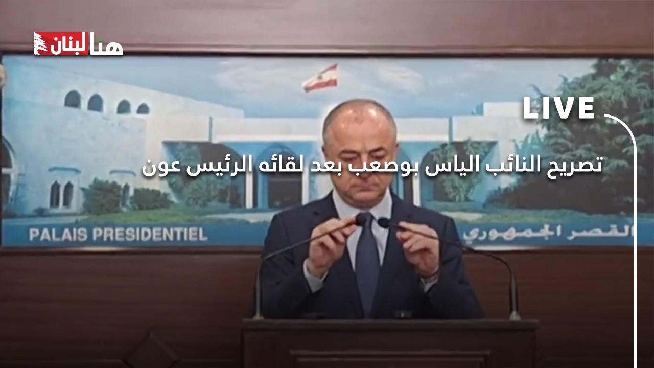 تصريح النائب الياس بوصعب بعد لقائه الرئيس عون
