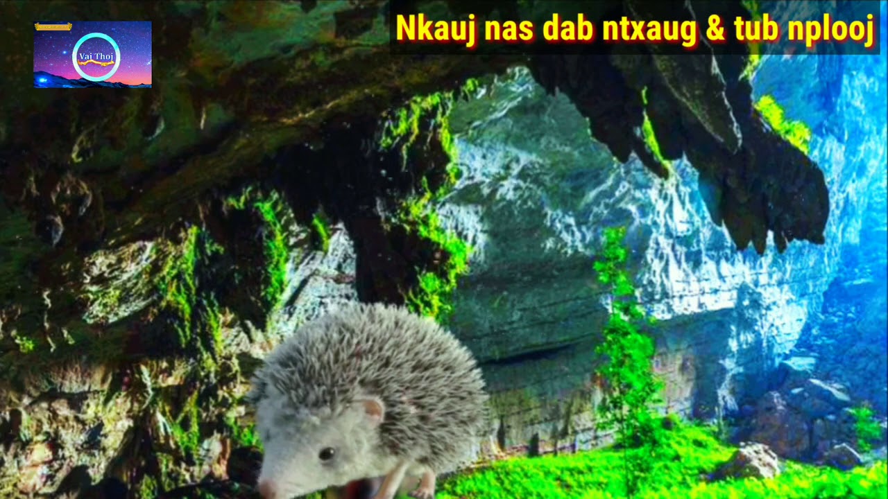 Nkauj nas dab ntxaug Thiab tub nplooj