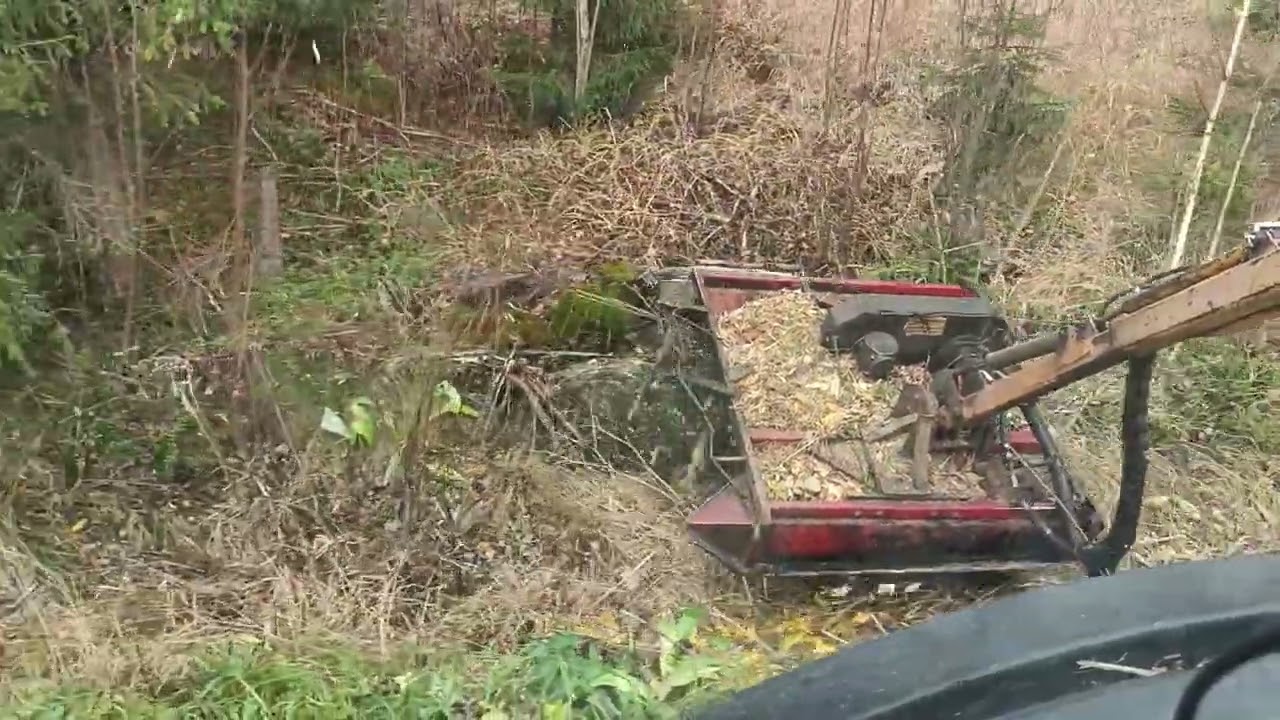 vesakon raivausta ja höpöttelyä