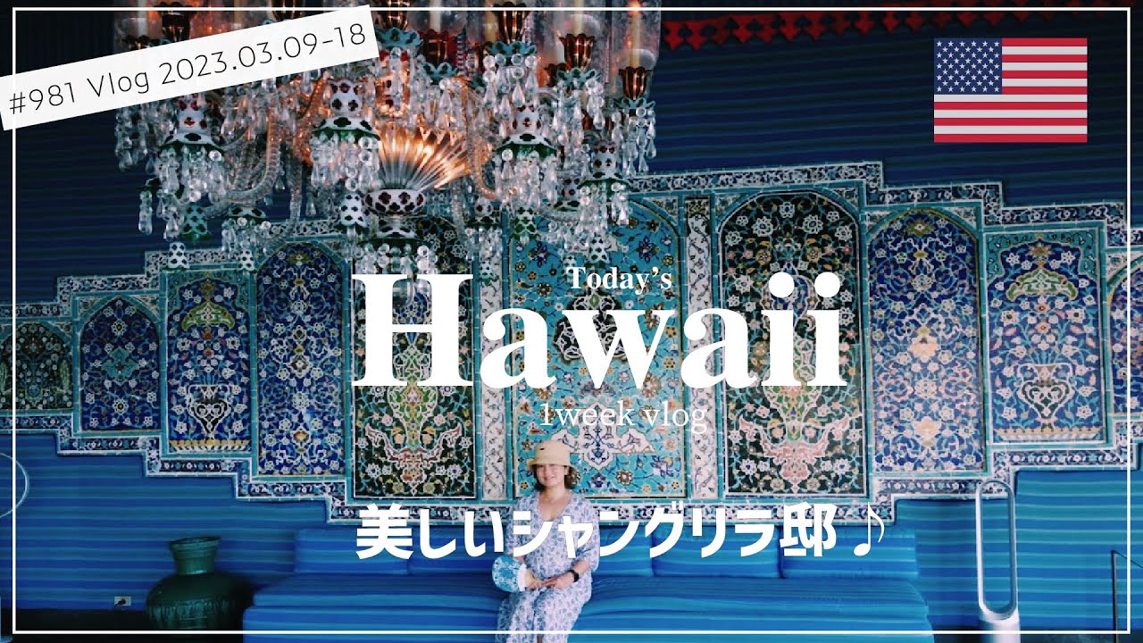 シャングリラ邸行ったり、ホノルルフェス行ったり、ハレクラニベーカリー行ったり💙バタバタなハワイ１週間。 #ハワイ #アメリカ #海外移住 #vlog〔アメリカ暮らし物語 ハワイ編🌺 第981話〕