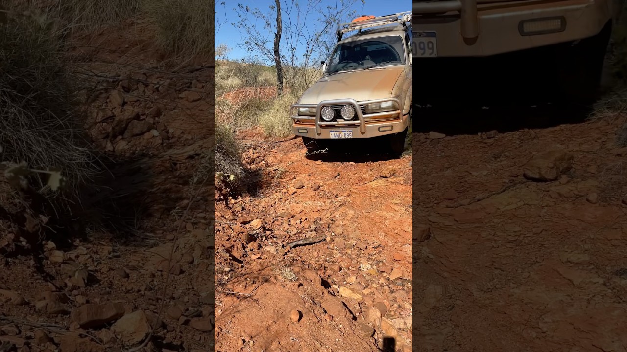 HDJ80 1hdft. #80series #landcruiser #offroad #4wd247rigs #adventure #shortsvideos #short #me