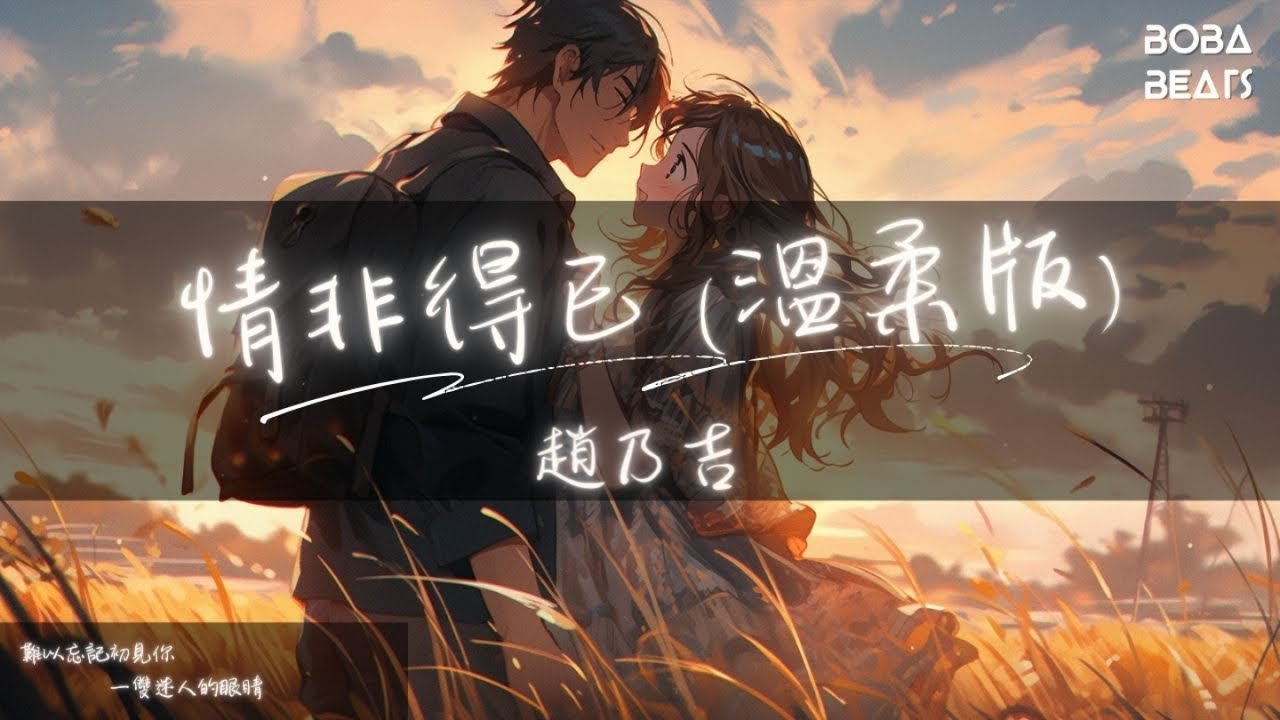 趙乃吉 - 情非得已 (溫柔版)『怕我沒什麼能夠給你 愛你也需要很大的勇氣』【Lyrics Video】