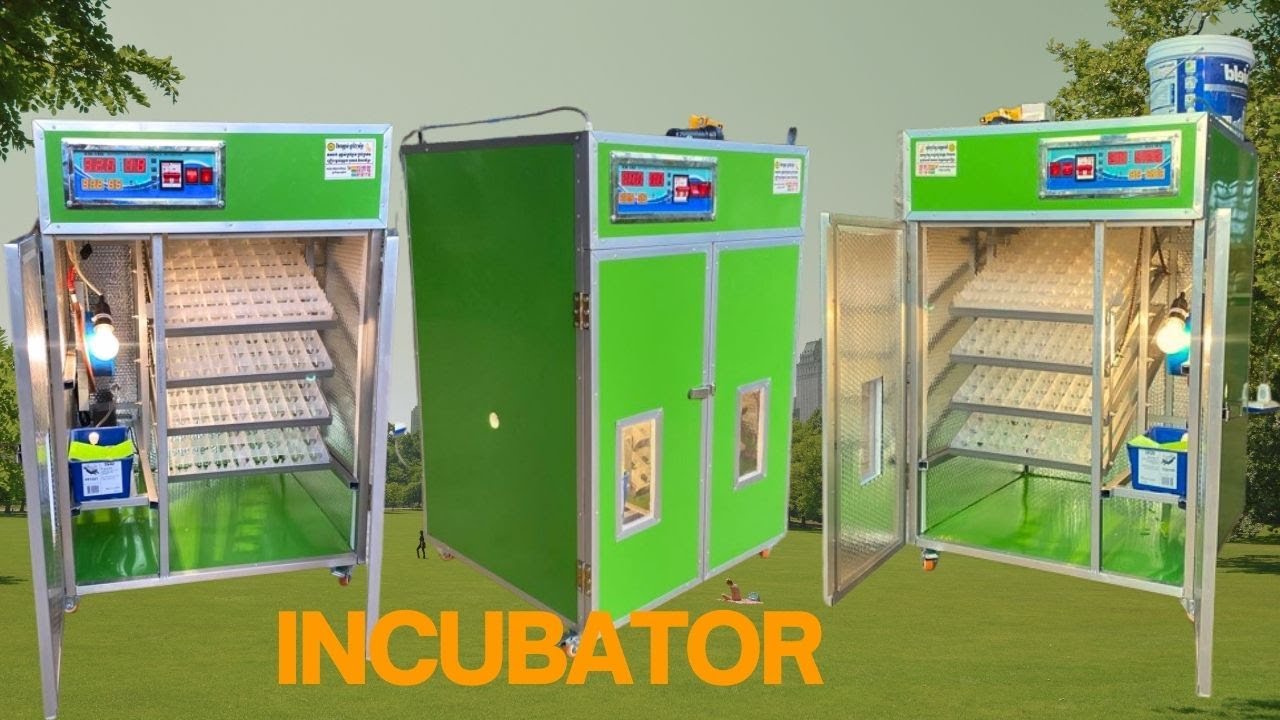 How To Build A Custom Incubator At Home With Easy Steps, Capacity 352eggs, Ability Hatch Up to 95%.