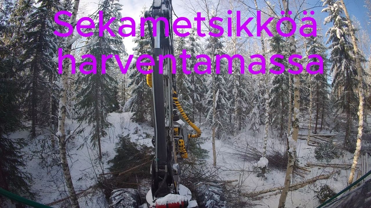 Sekametsää kallion päällä Prosilva S3 & Kesla 19