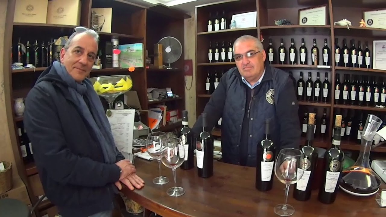 Taurasi, a quest for great wines