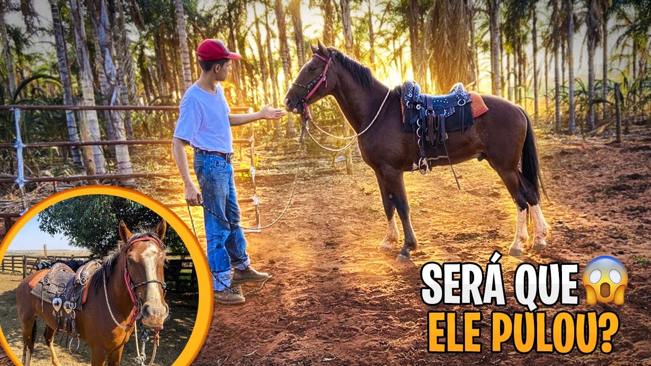 COLOQUEI ARREIO NO CAVALO NOVO