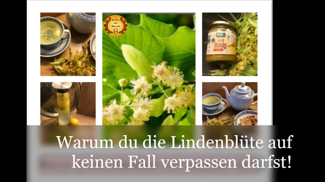 Warum du die Lindenbl&uuml;te auf keinen Fall verpassen darfst!