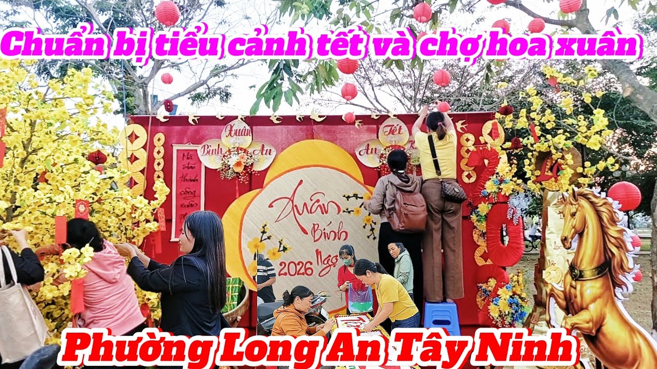 Chuẩn bị tiểu cảnh Tết 2026 tại công viên Hoàng Hoa Thám và chợ hoa xuân phường Long An Tây Ninh.