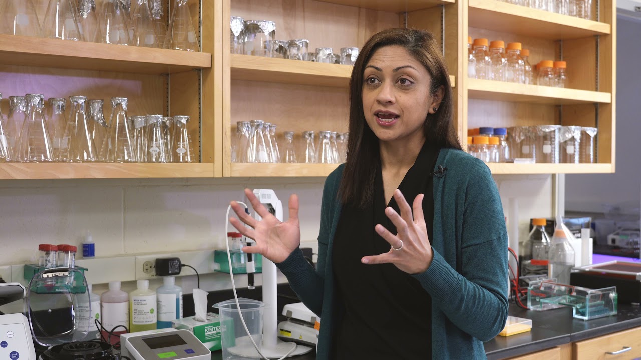 Avasthi Lab at Geisel School of Medicine