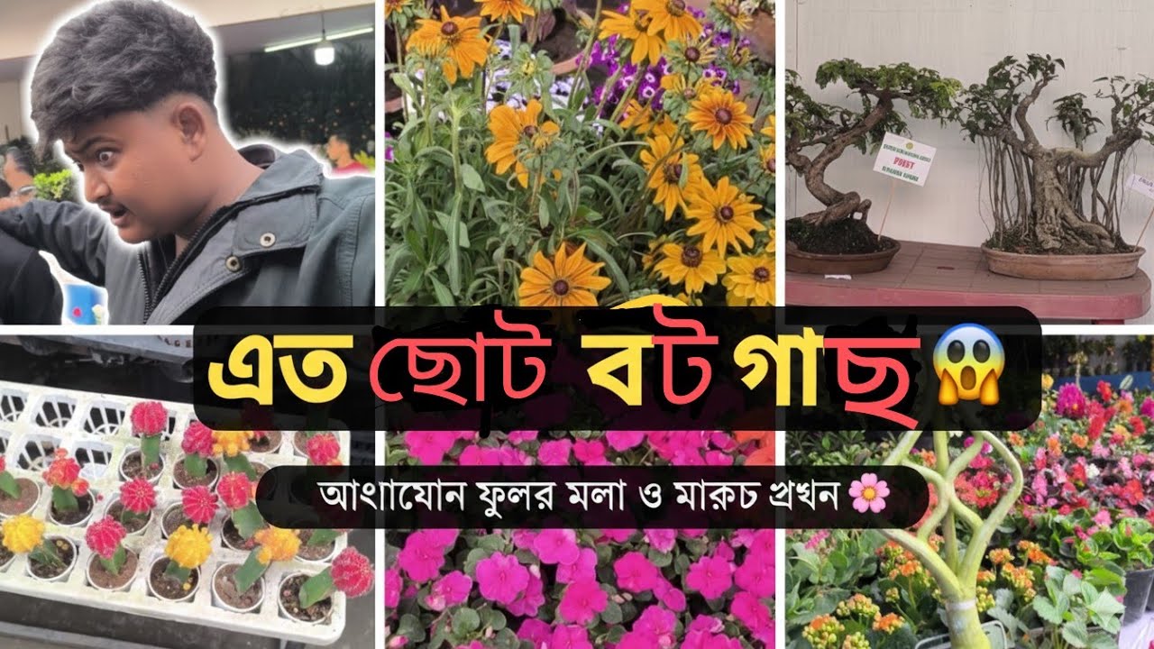 “ফুলের মেলা 🌼 | এত ছোট বট গাছ দেখেছো? 😯 | Siliguri Hongkong Market” । মানিক দার এটা কি হল 😮