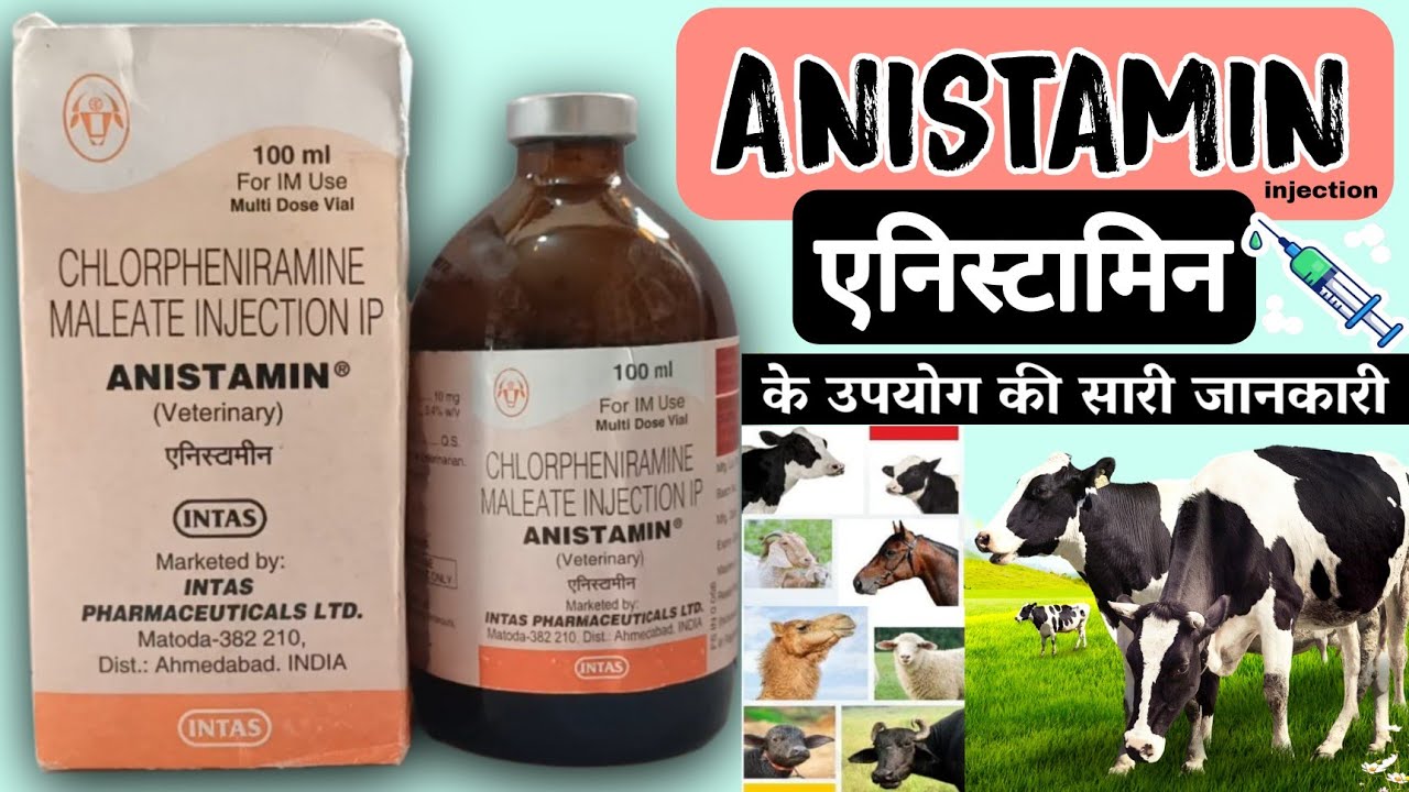 anistamin injection chlorpheniramine maleate injection uses in hindi !! veterinary Medicine CPM inj.