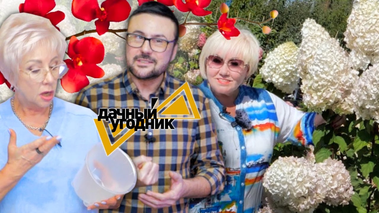 Посев перца и выбор сортов. Посадка орхидей. Очень популярная гортензия.