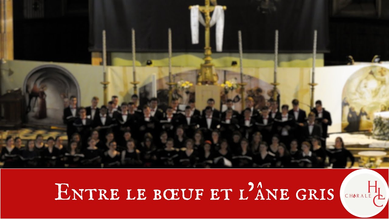 Entre le bœuf et l’âne gris