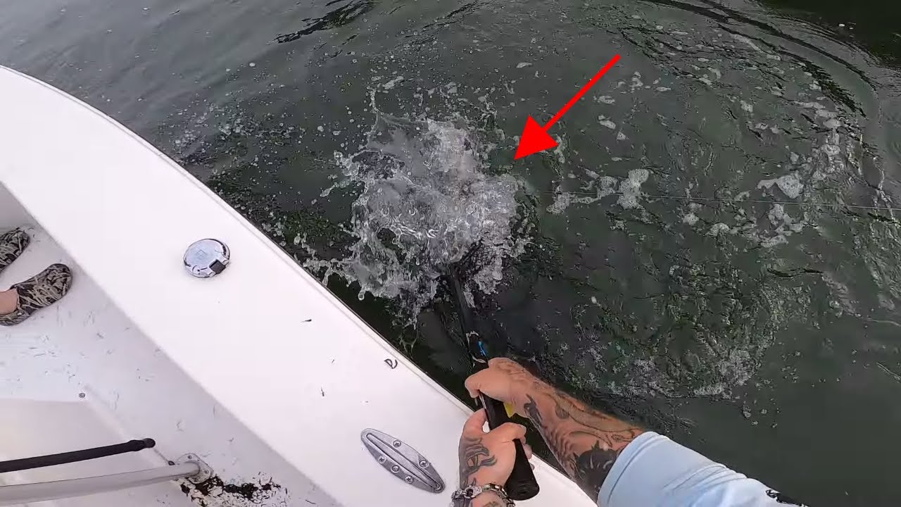 JACK BASHING in NSB Florida