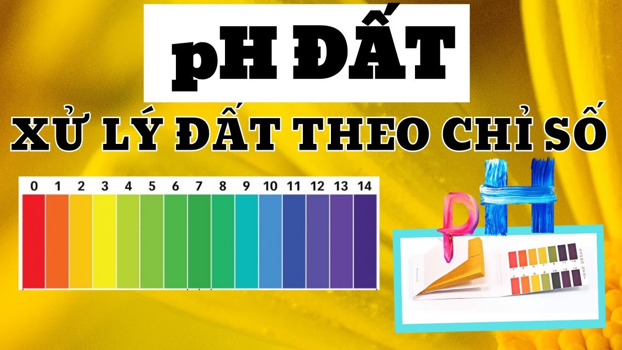 pH đất | Xử lý đất theo chỉ số pH đất | pH có liên quan đến hấp thu dinh dưỡng của cây? | pH 5.5-6.5