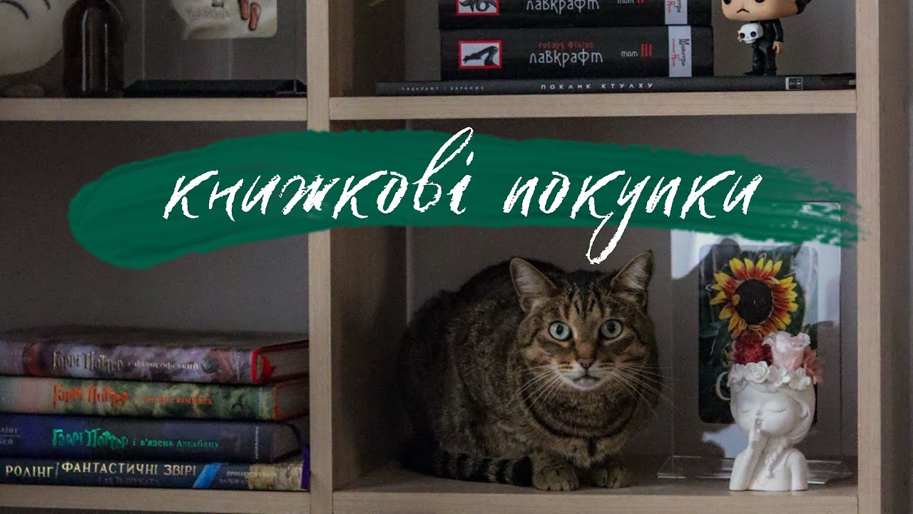 книжкові покупки за рік ✨ частина друга - зарубіжна художня проза