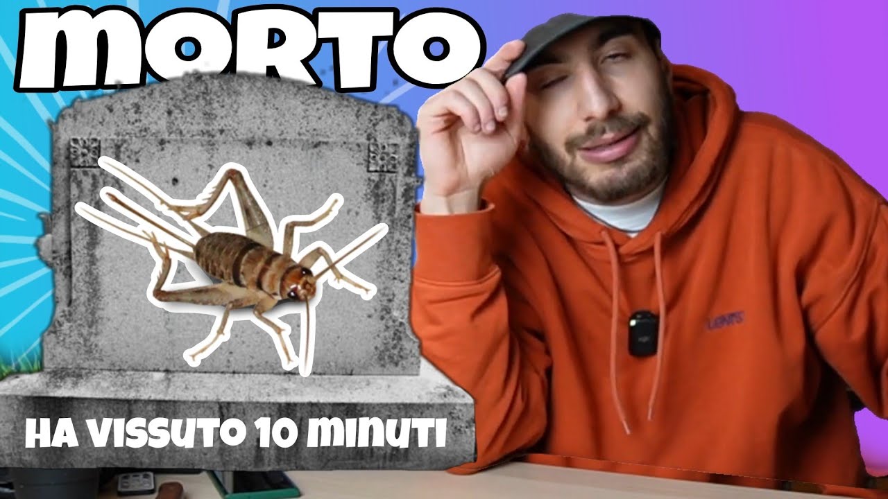 ECCO PERCHÉ TI MUOIONO I GRILLI