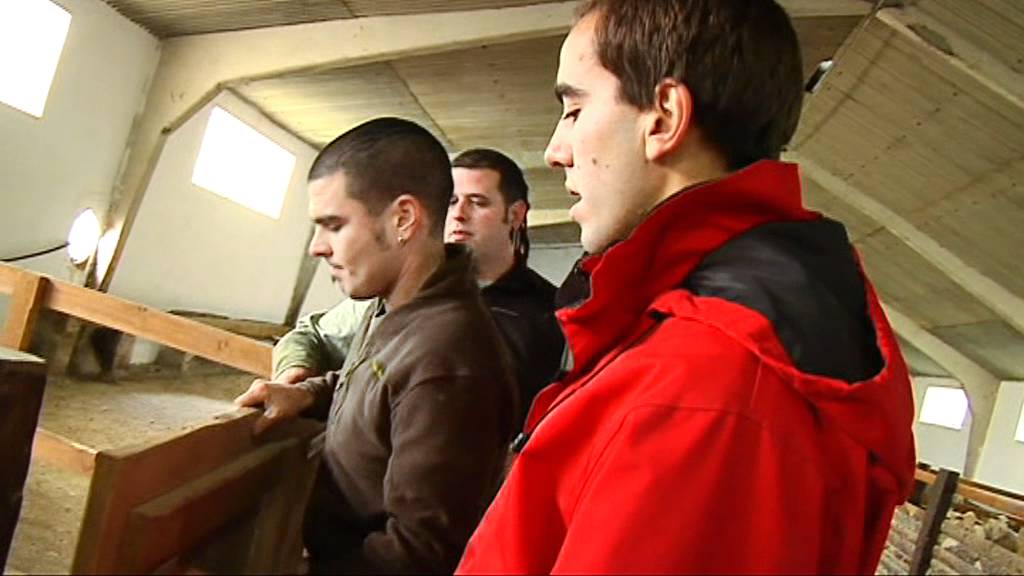 Terapia Asistida con Animales en la Granja Escuela Gure Sustraiak de Ollo (Navarra)