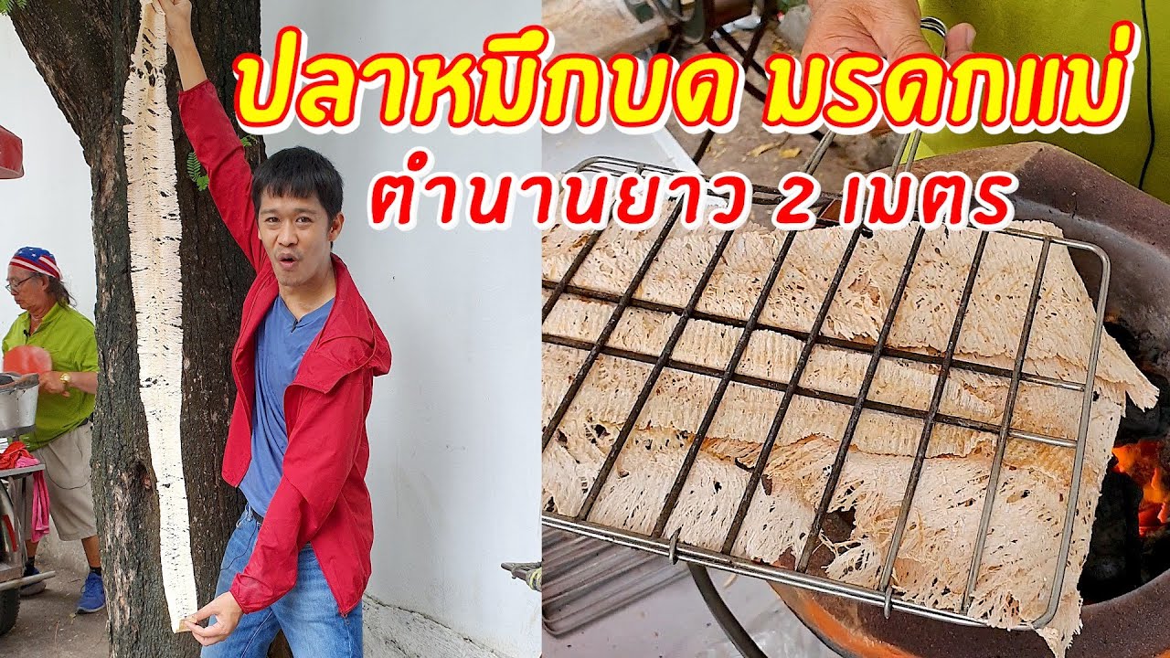 ปลาหมึกบด มรดกแม่ ตำนานยาว 2 เมตร | เอิร์ธสดชื่น