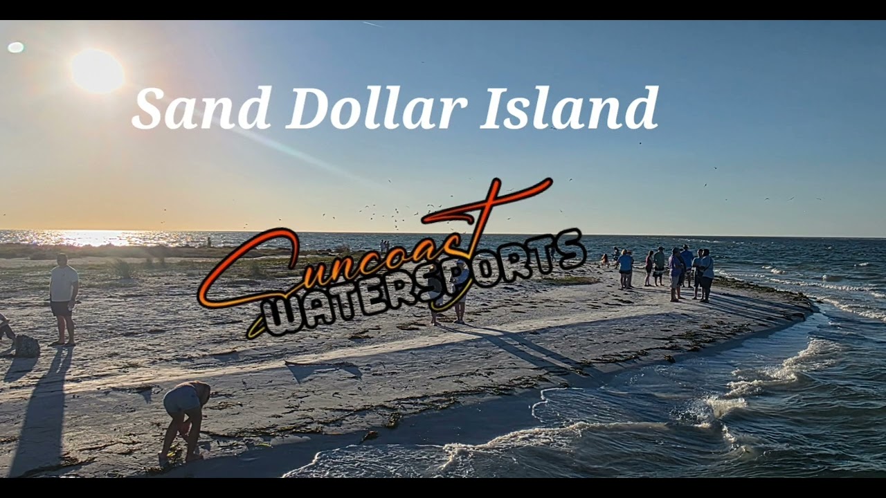 Sand Dollar Island 