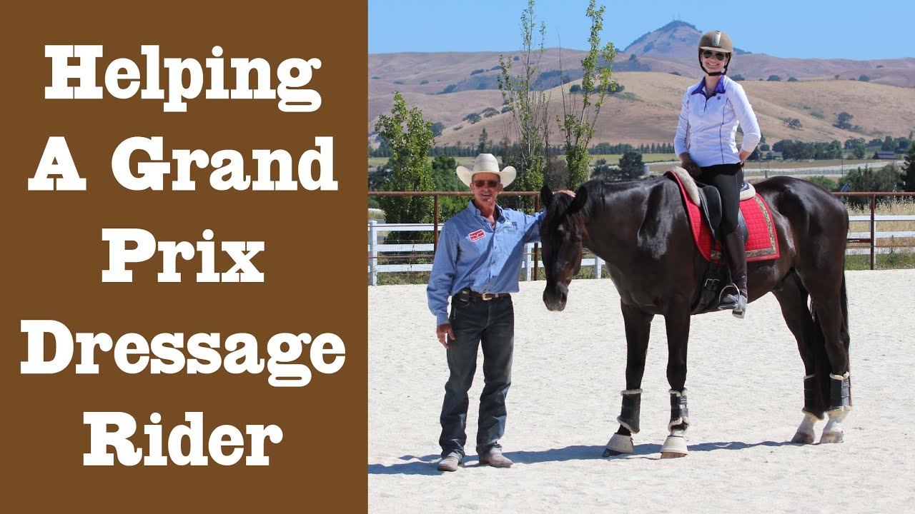 Helping A Grand Prix Dressage Rider: The Principles Of Training In Action:
