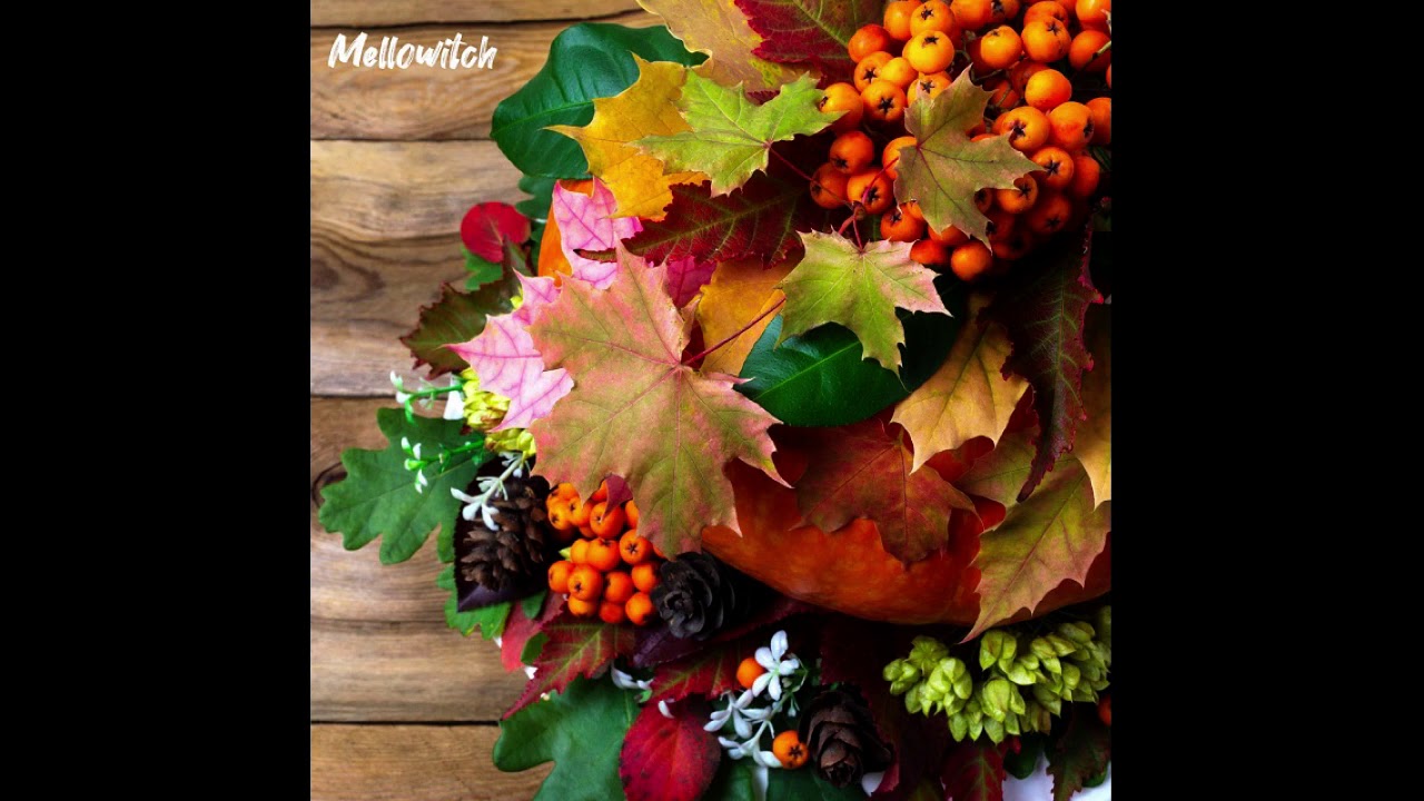 [kpop/release] 멜로위치(Mellowitch)_Fall in Autumn