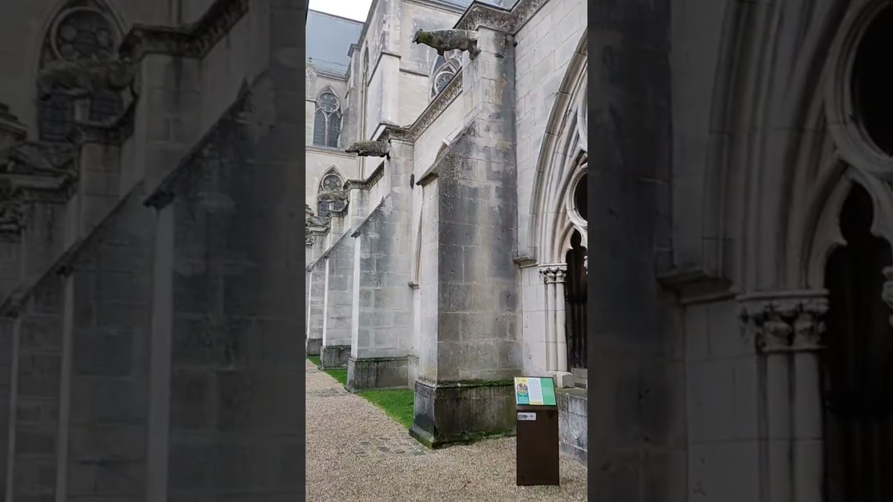 Cathédrale Saint-Étienne 🇨🇵