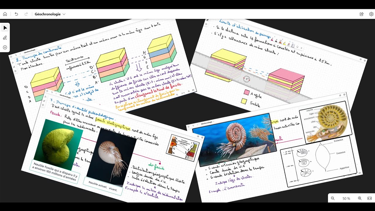 8- Principes stratigraphiques: Principe de continuité et principe d'identité paléontologique.