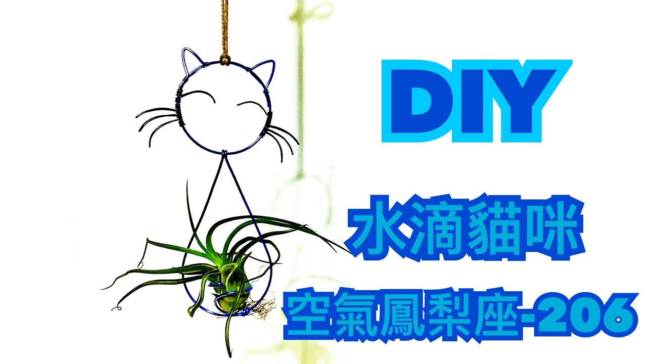 DIY wire 教你如何使用彩色鋁線製作空氣鳳梨  水滴貓咪 How to make Aluminum wire Air plant flowerstand Droplet Cat