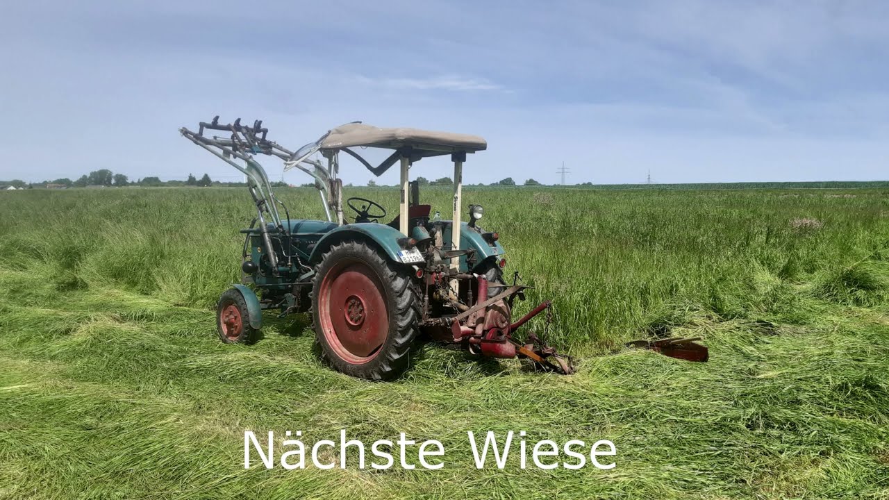 Heuernte 2024 mit Hanomag Perfekt 300, LFE und Claas Bibi S