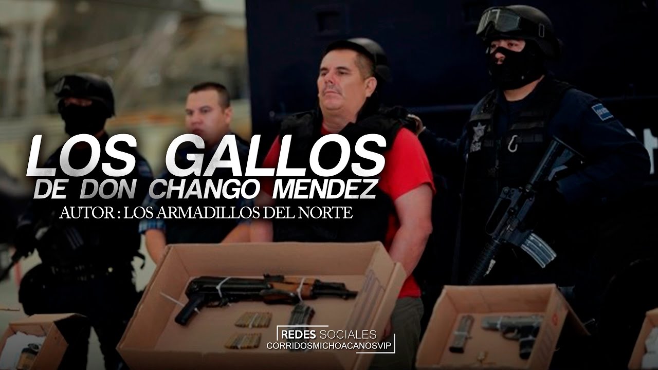Los Gallos de Don Chango Mendez - Los Armadillos de Norte (Corridos Michoacanos 2017) #Michoacan