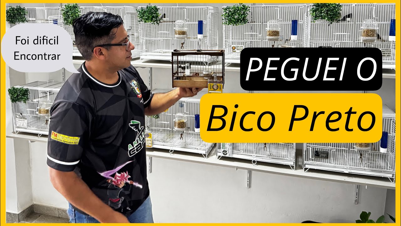 PEGUEI O COLEIRO BICO PRETO