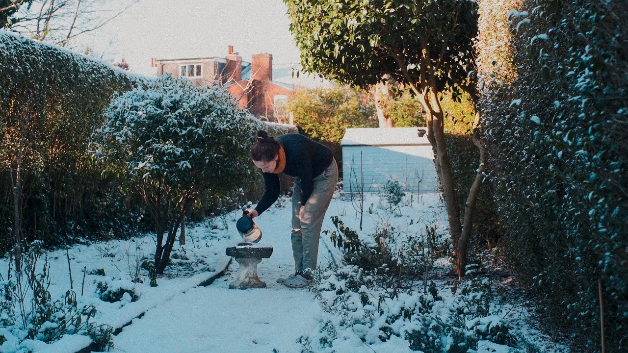 Quiet Days at the Start of the Year | Cooking, Making & Everyday Life