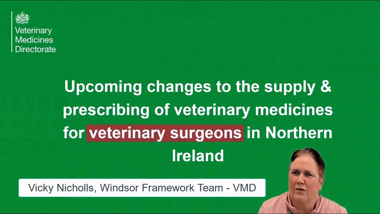 Changes to the supply of veterinary medicines for veterinary surgeons in Northern Ireland