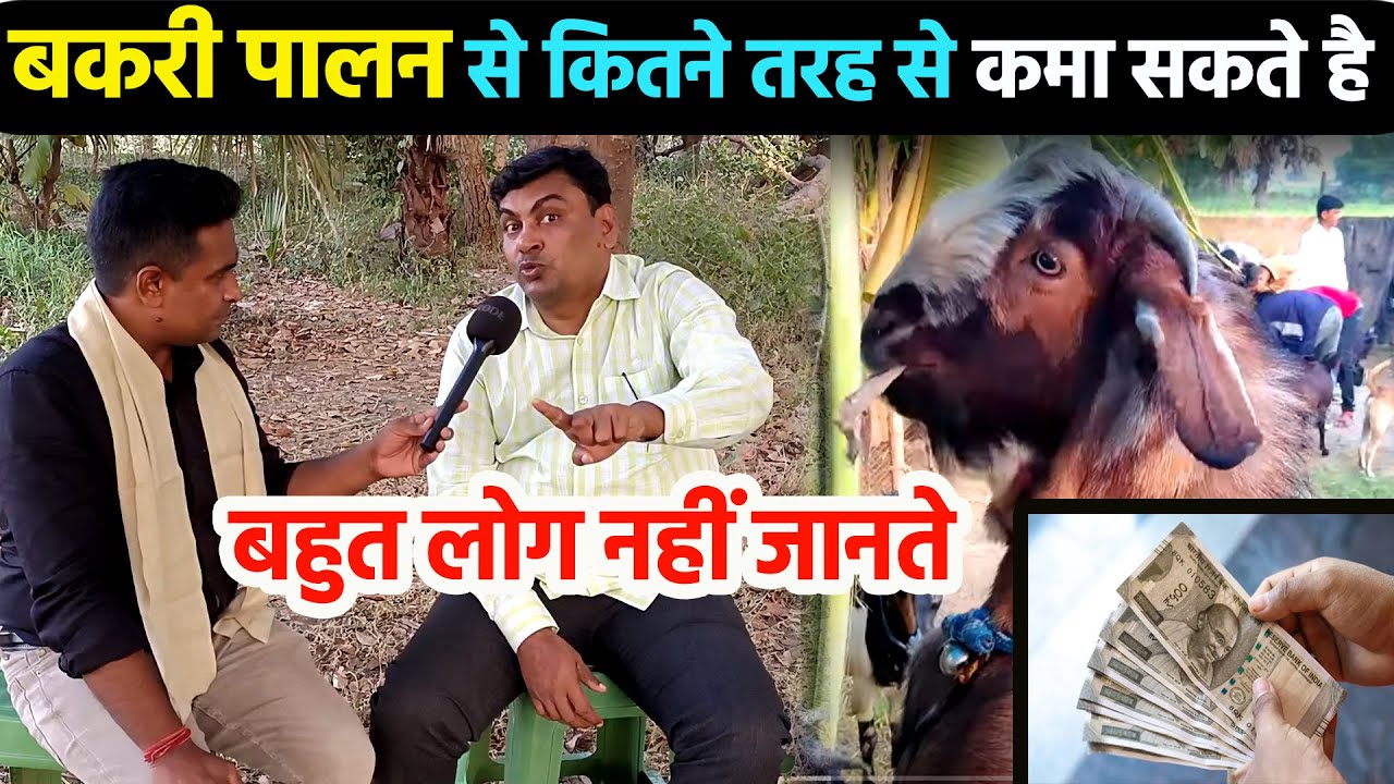 बकरी पालन में कितने तरह से कमा सकते है? सुधीर सर ने Goat Farming Business की परिभाषा ही बदल दी