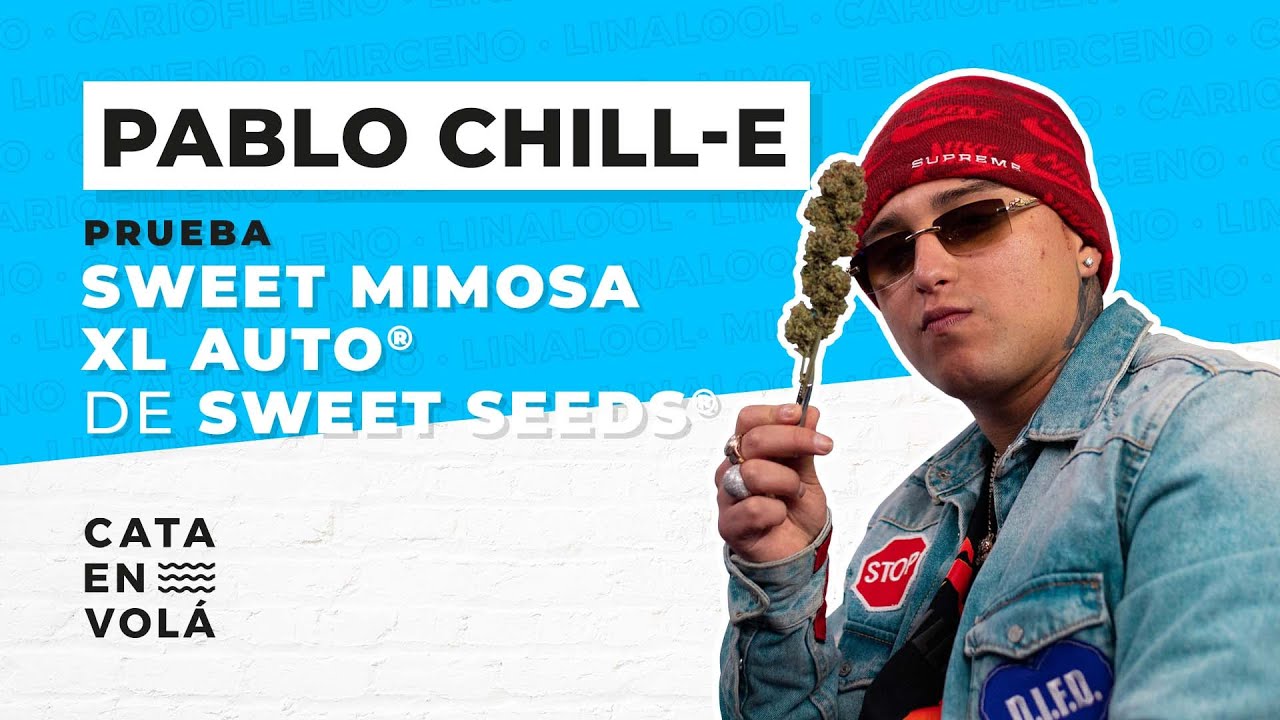 PABLO CHILL-E EN ENVOL&Aacute;