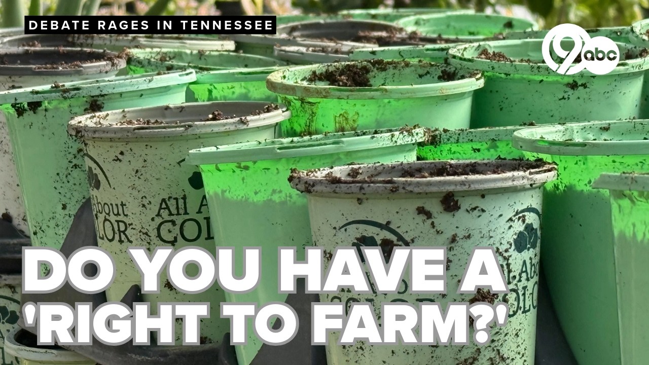 Tennessee lawmakers push for constitutional right to grow food at home