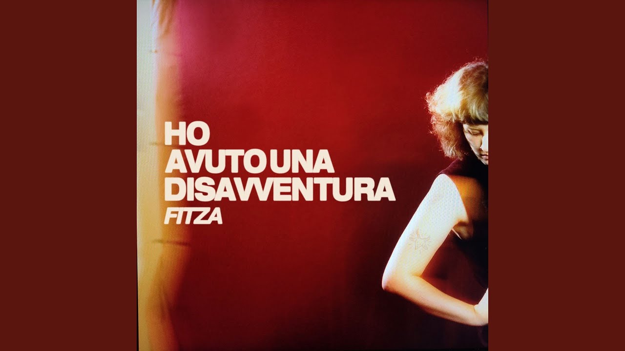 Ho avuto una disavventura