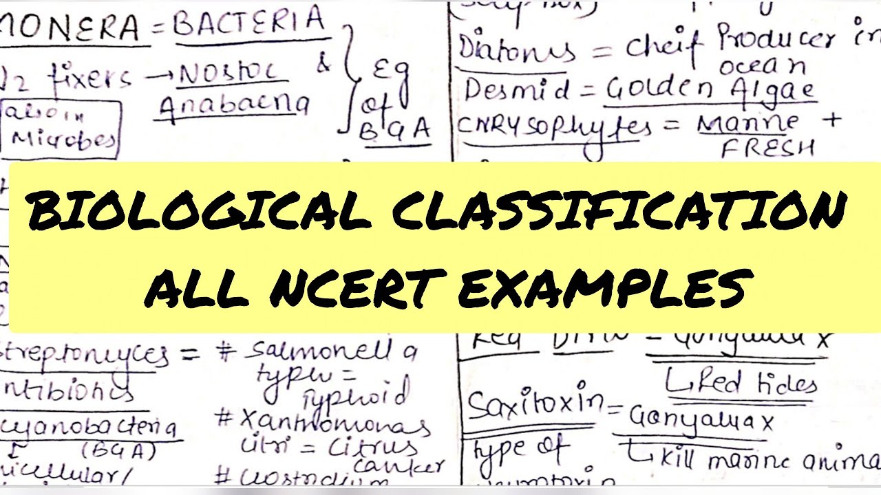 Biological classification example Cheat sheet || Neet 2026 || best for revision 