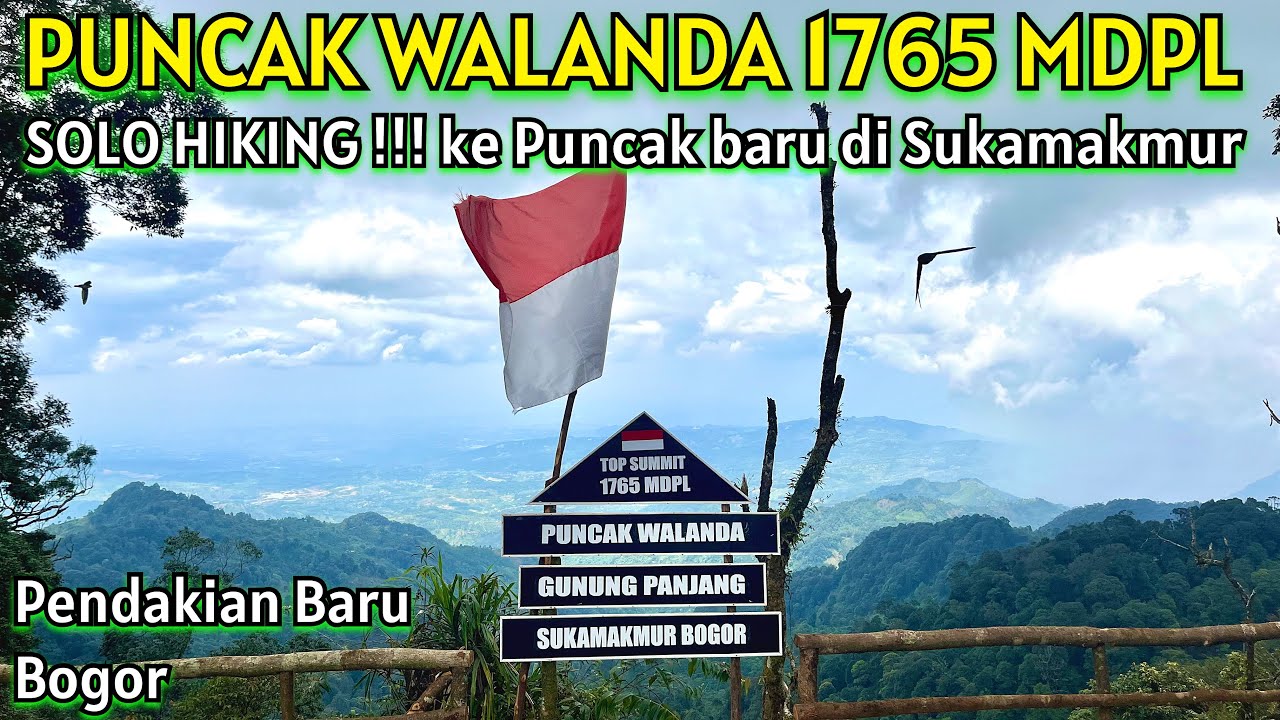 Pendakian BARU !!! Solo Hiking ke Puncak Walanda 1765 MDPL Sukamakmur Bogor