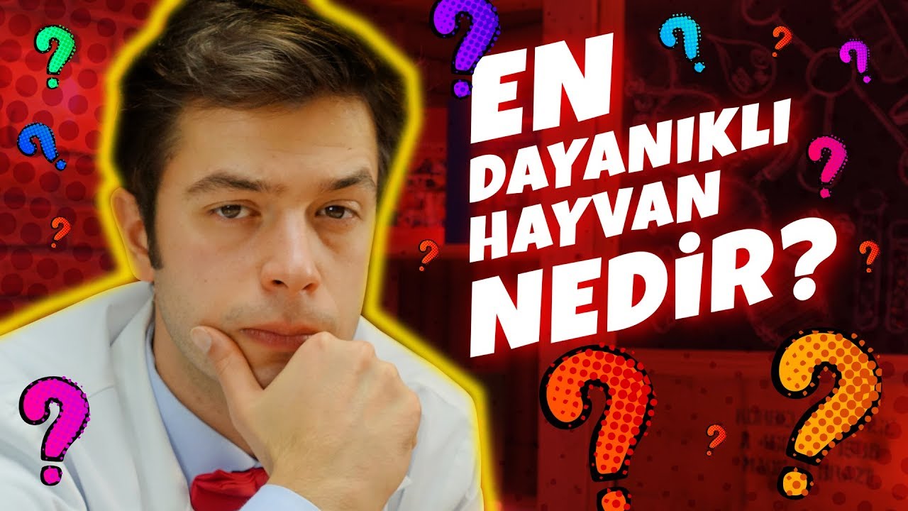 D&uuml;nyanın En Dayanıklı Hayvanı Nedir?