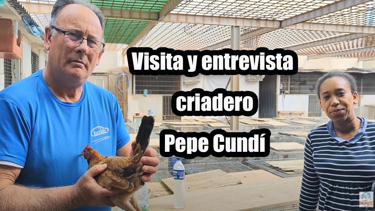 gallera criadero Pepe cundi españa