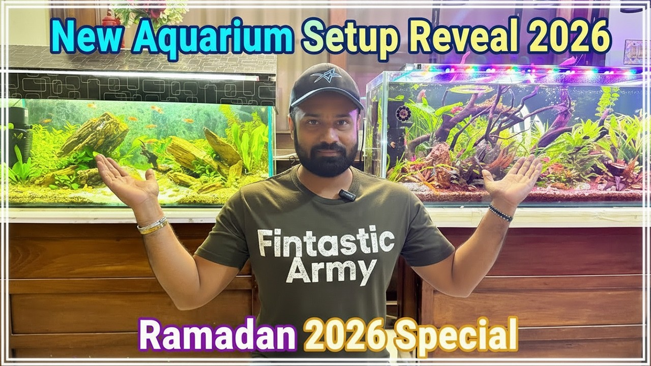 My New Aquarium Setup 2026 REVEALED! 😍 Ramadan Special Planted Tank Update